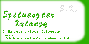 szilveszter kaloczy business card